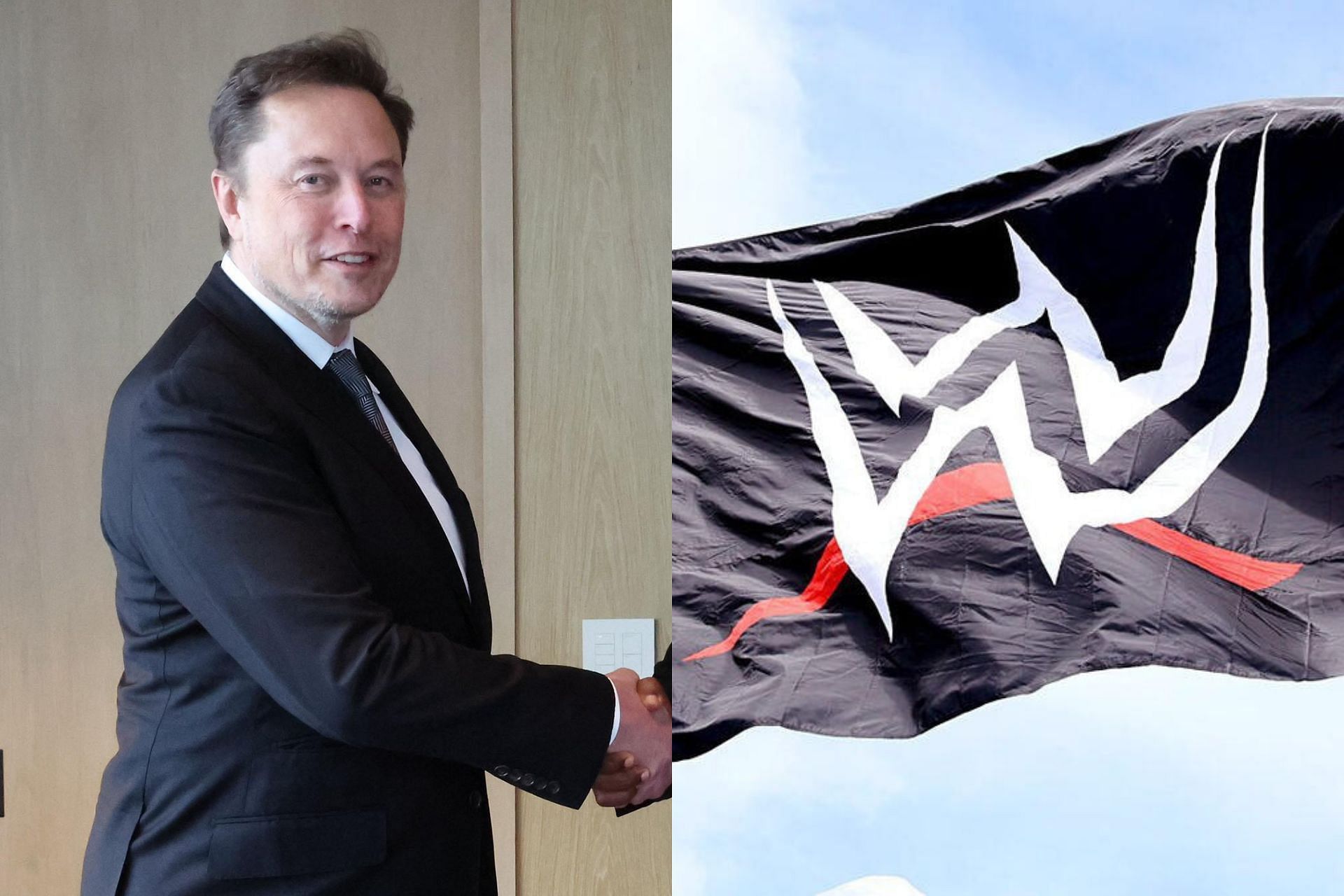 WWE Elon Musk