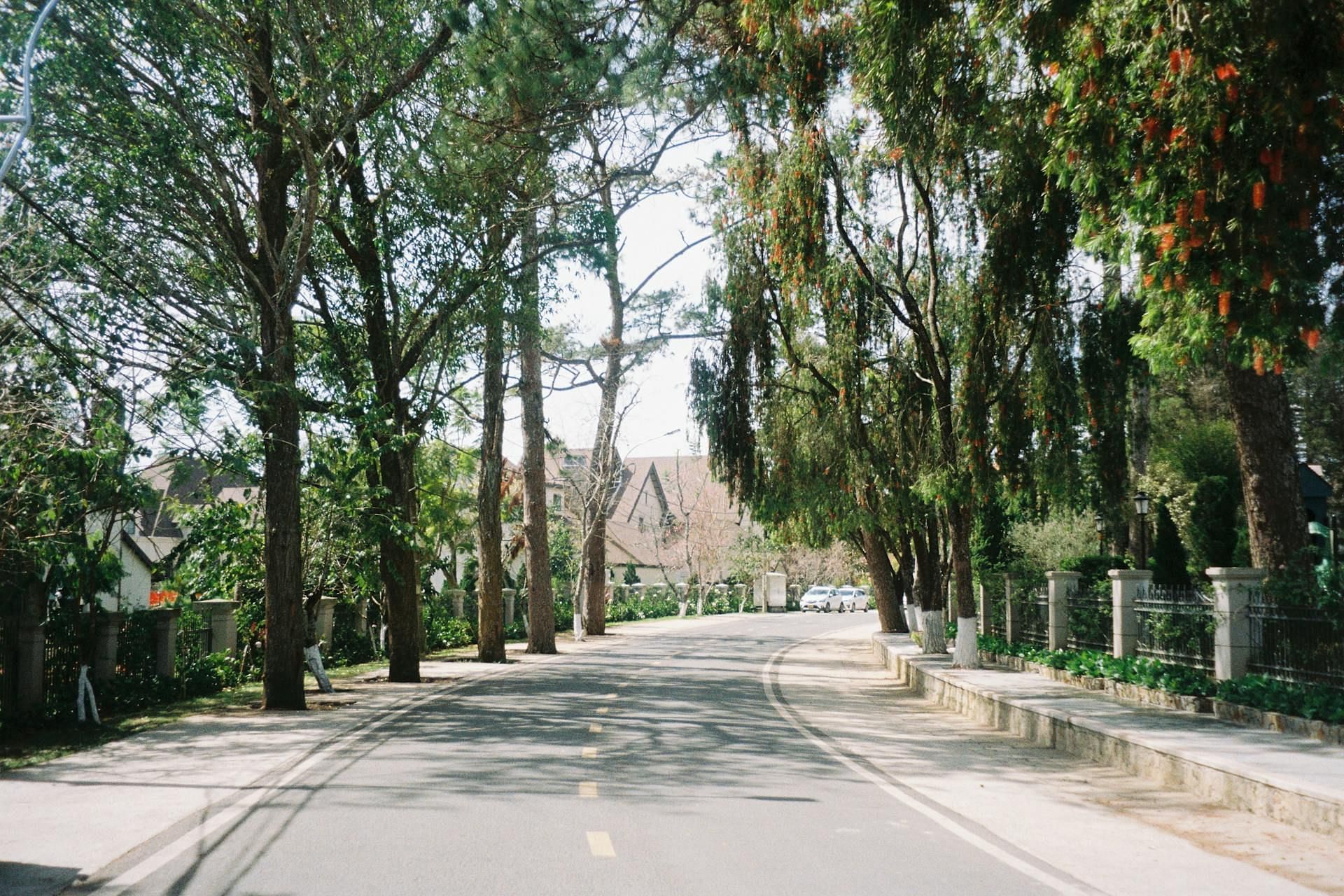 Bruce Blackwood owned several apartments across the neighborhoods in Brooklyn and Queens (Image via Pexels)