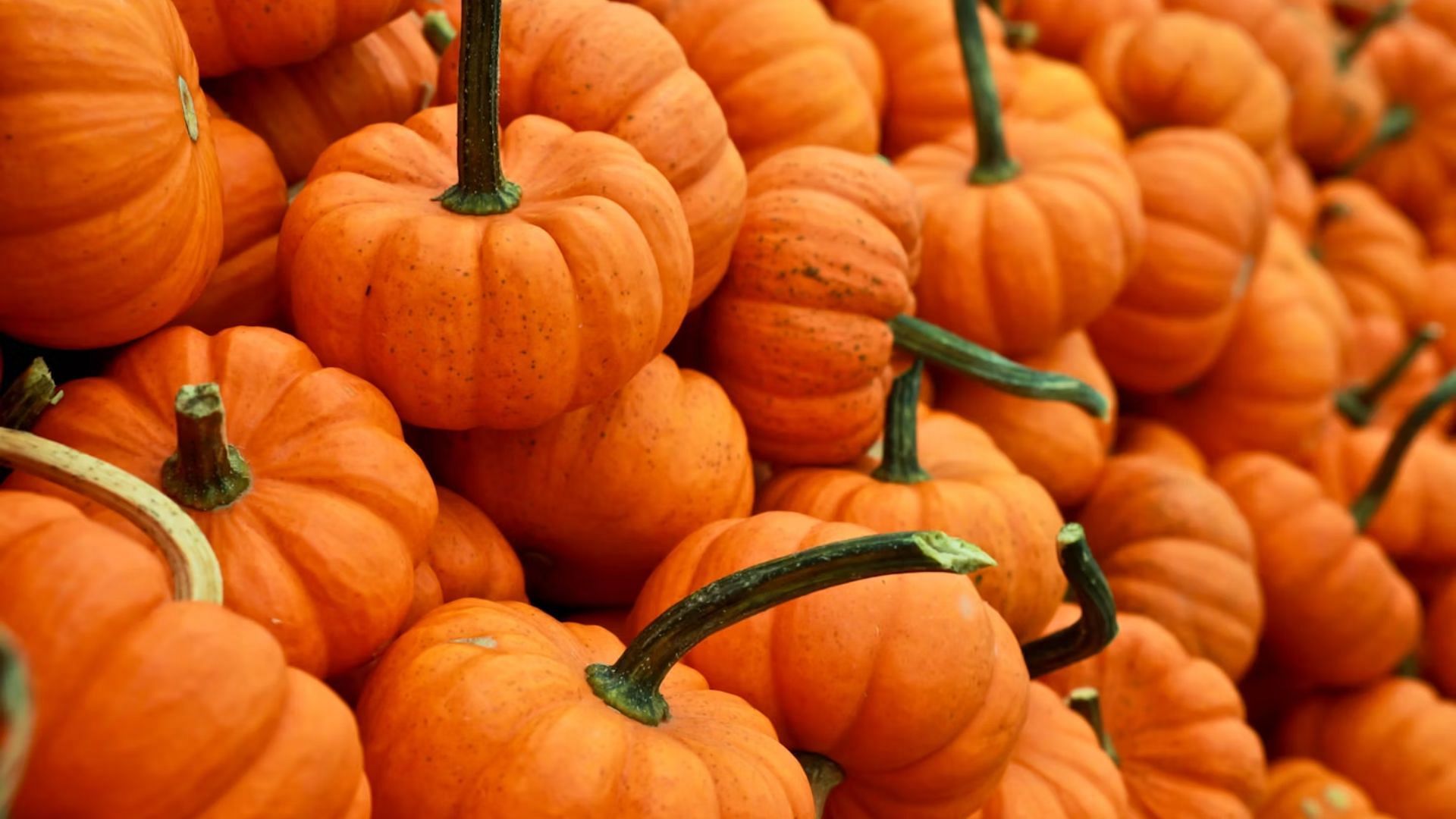 Pumpkin promotes immune health (Image via Unsplash)