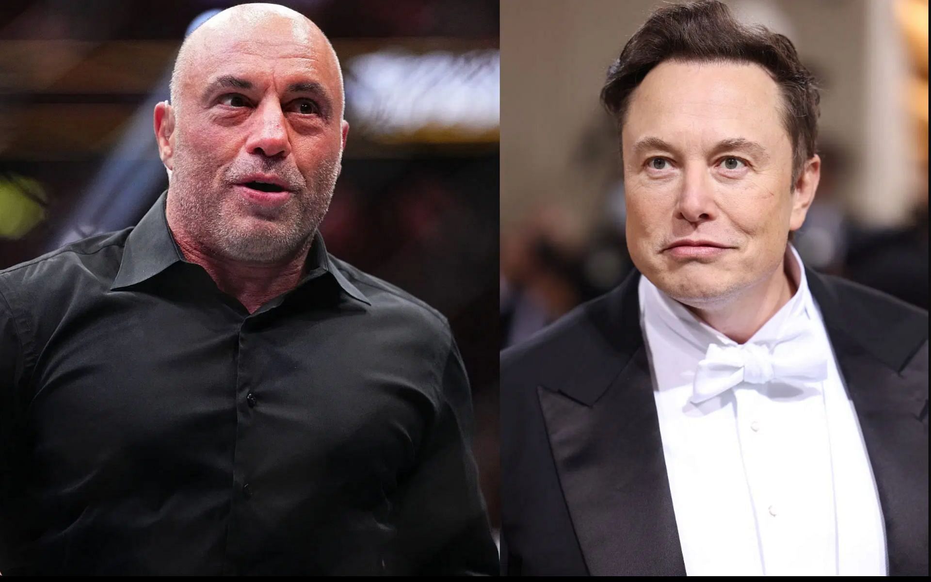 Joe Rogan talks about Elon Musk-led DOGE initiative. [Images courtesy: Getty]