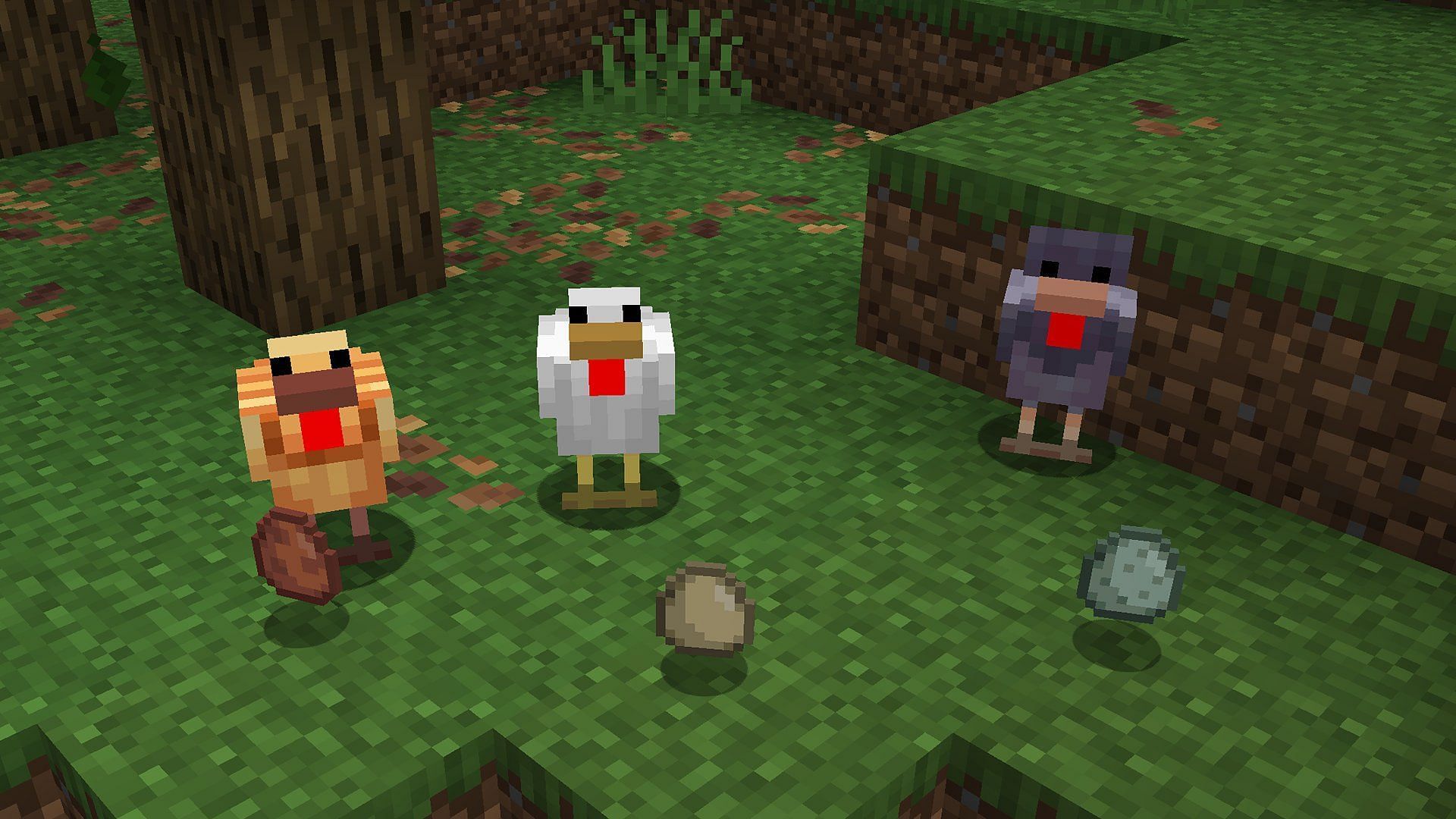 New chicken variants have been added to Minecraft (Image via Mojang Studios)