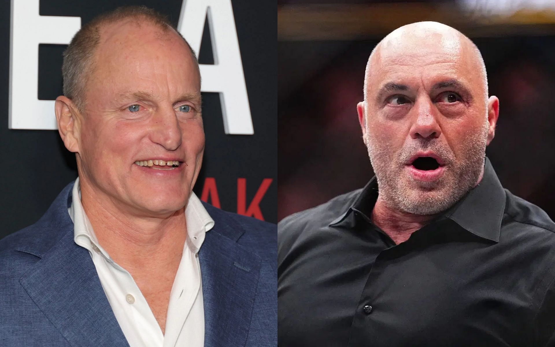 Woody Harrelson praises Joe Rogan