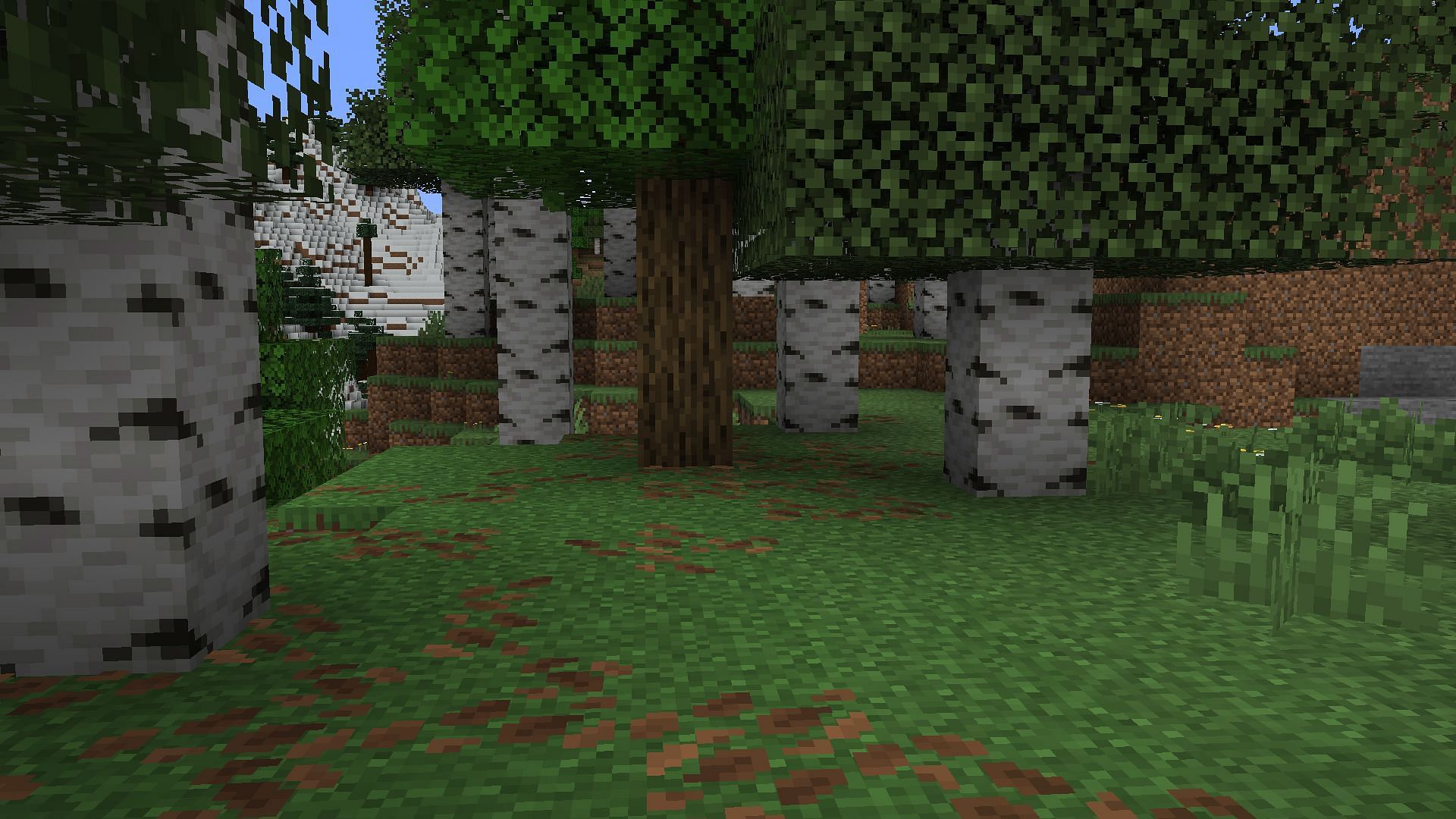 The Minecraft snapshot 25w08a introduces a new biome-based tint for the leaf litter (Image via Sportskeeda Gaming/Mojang Studios)