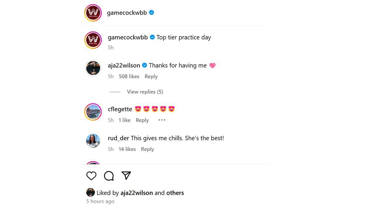 Wilson responds to South Carolina&#039;s IG post. [photo: @gamecockwbb/IG]