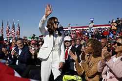 Danica Patrick drops a four-word reaction to Mark Twain's iconic quote