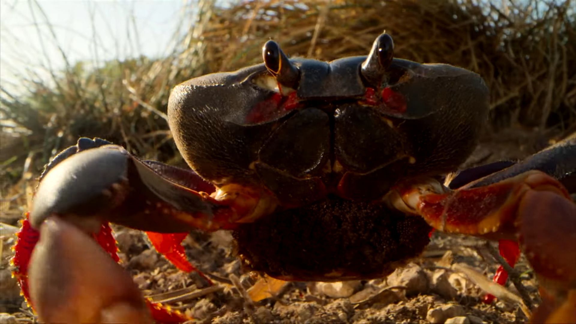 A still from the first look at the documentary series (Image via NBC / YouTube)