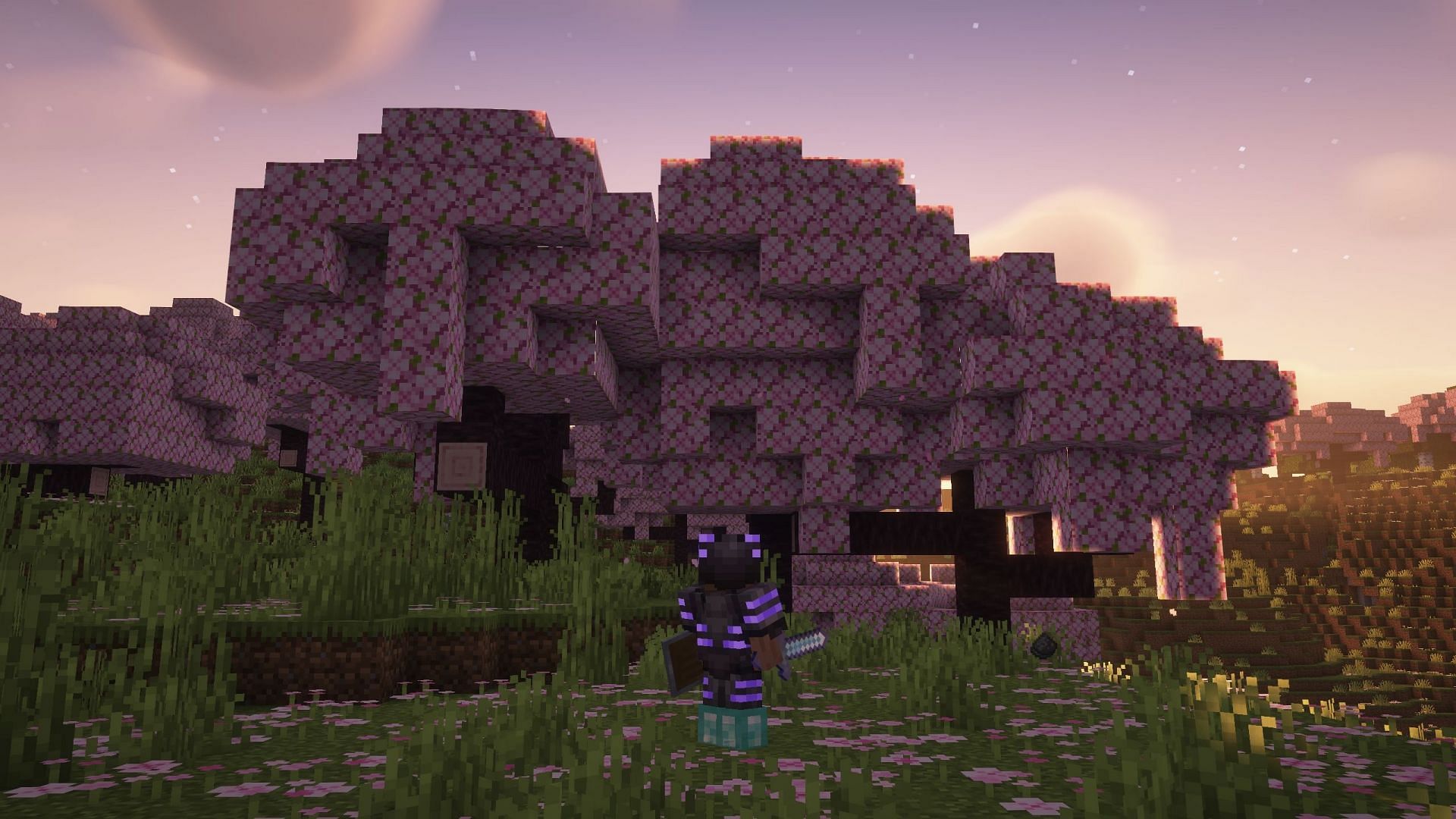 While roaming around the world, you will find rare biomes (Image via Mojang Studios)