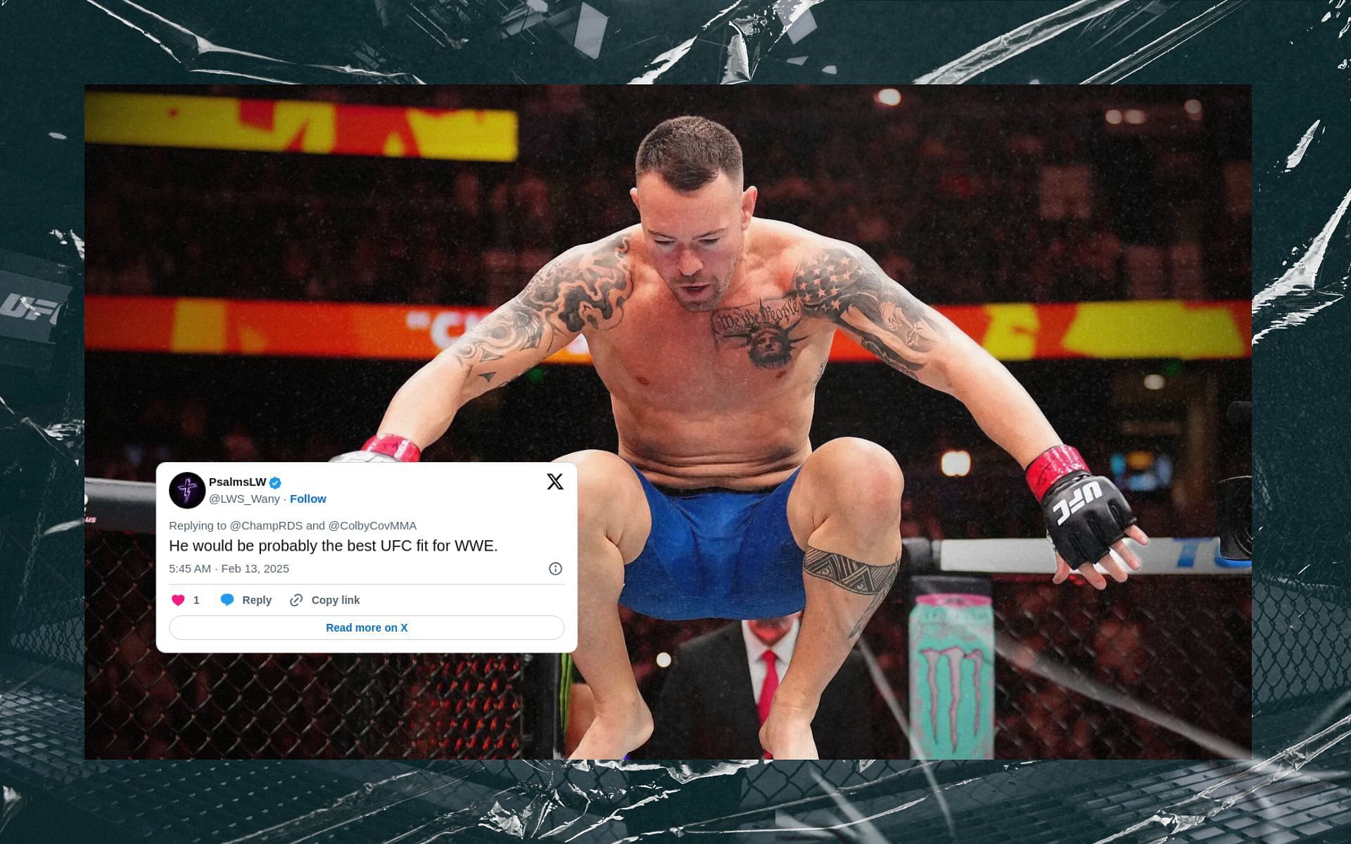 Fans react to Colby Covington