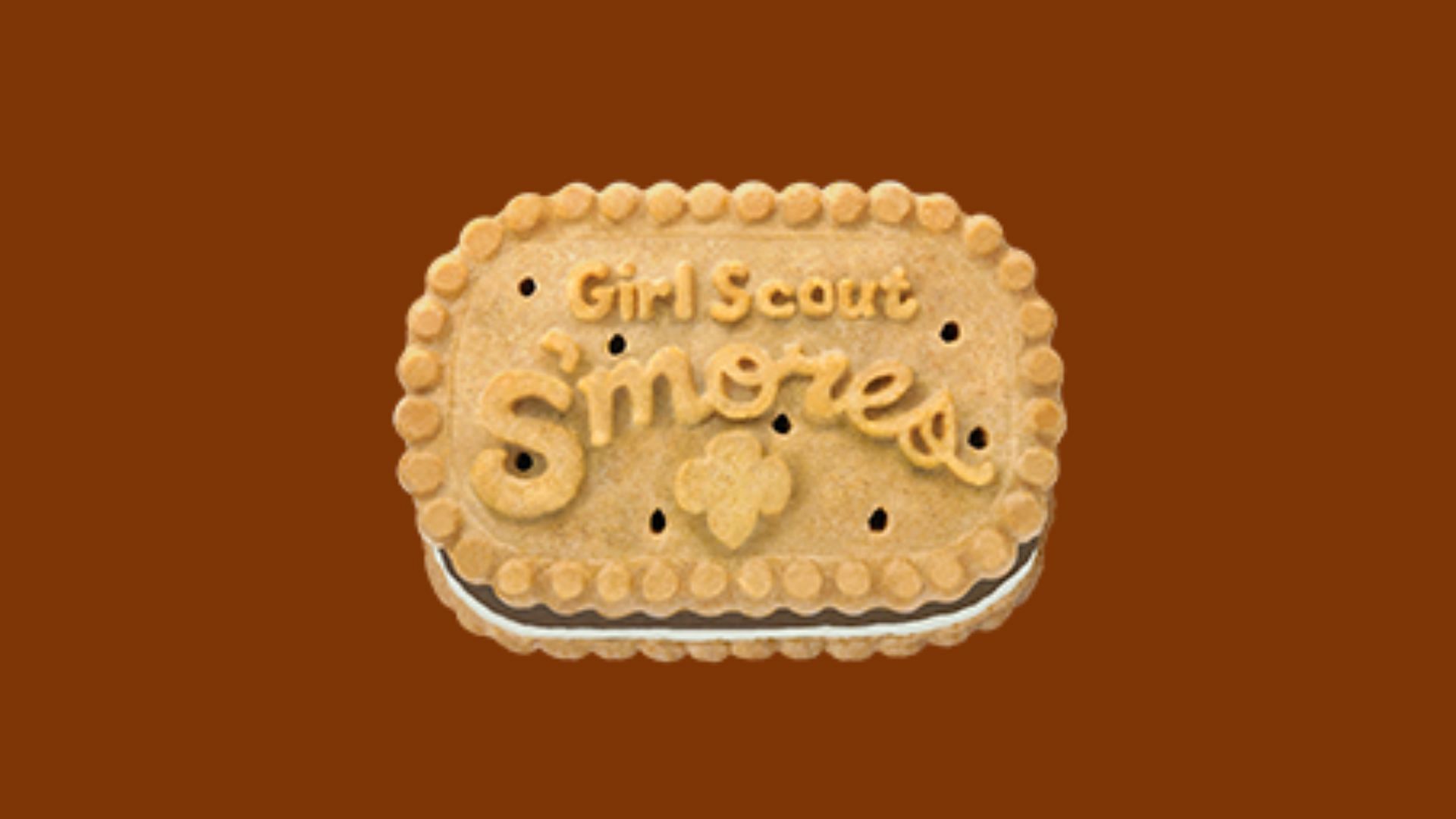 Girl Scout S&#039;mores (Image via Girl Scout/Website)