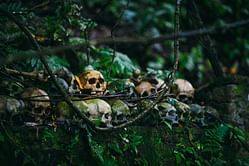 5 key revelations from The Fox Hollow Murders: Playground of a Serial Killer