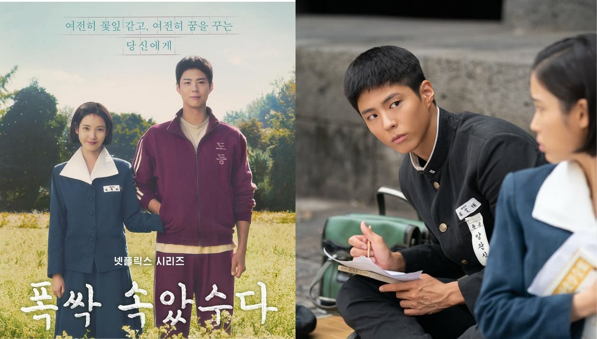 Park Bo-gum and IU starrer When Life Gives You Tangerine is all set to be released on March 7, 2025(Image Via Instagram@netflixkr)