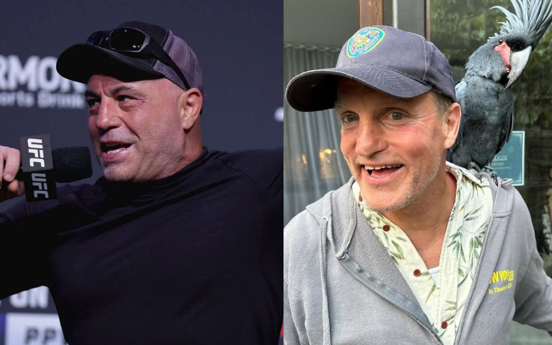 Joe Rogan (left) discusses Detroit frozen floods with Woody Harrelson (right): [Image courtesy Getty Images and @woodyharrelson on Instagram]