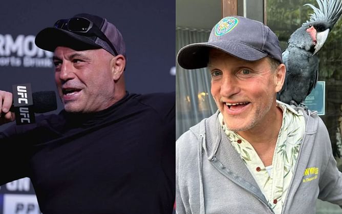 Joe Rogan and Woody Harrelson react to Detroit’s bizarre frozen flood disaster: "Frozen solid in the street and the car alarms going off"