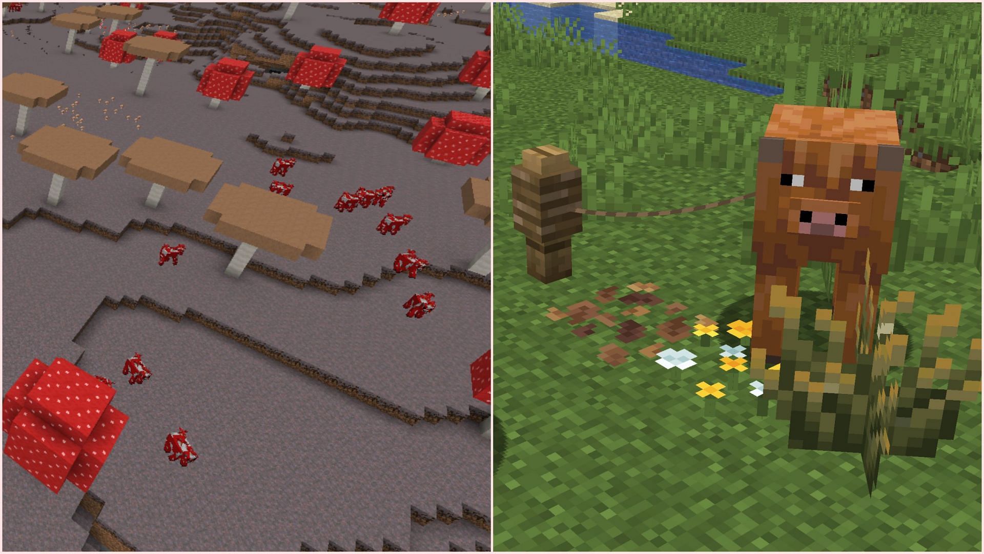 Mushroom fields can look dull compared to other Overworld biomes (Image via Sportskeeda Gaming/Mojang)