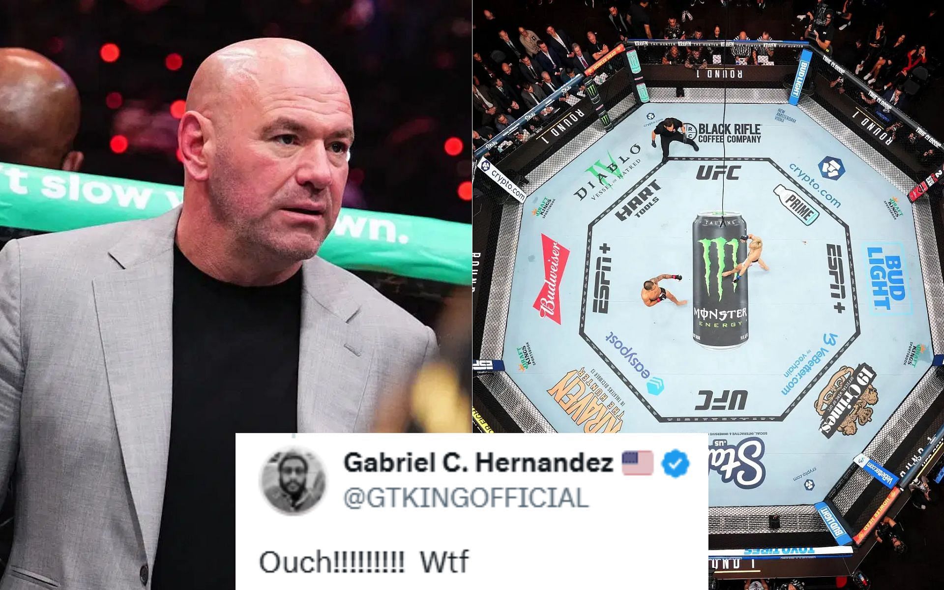 Dana White shares picture of a UFC fighter