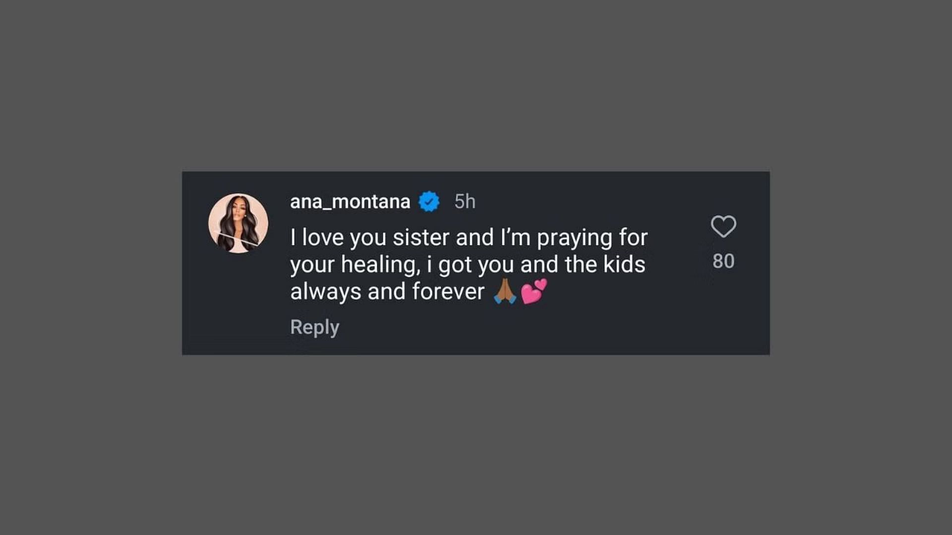 Ana Montana shares message of support for Nikki Mudarris. Photo Credit: Nikki Mudarris' IG account