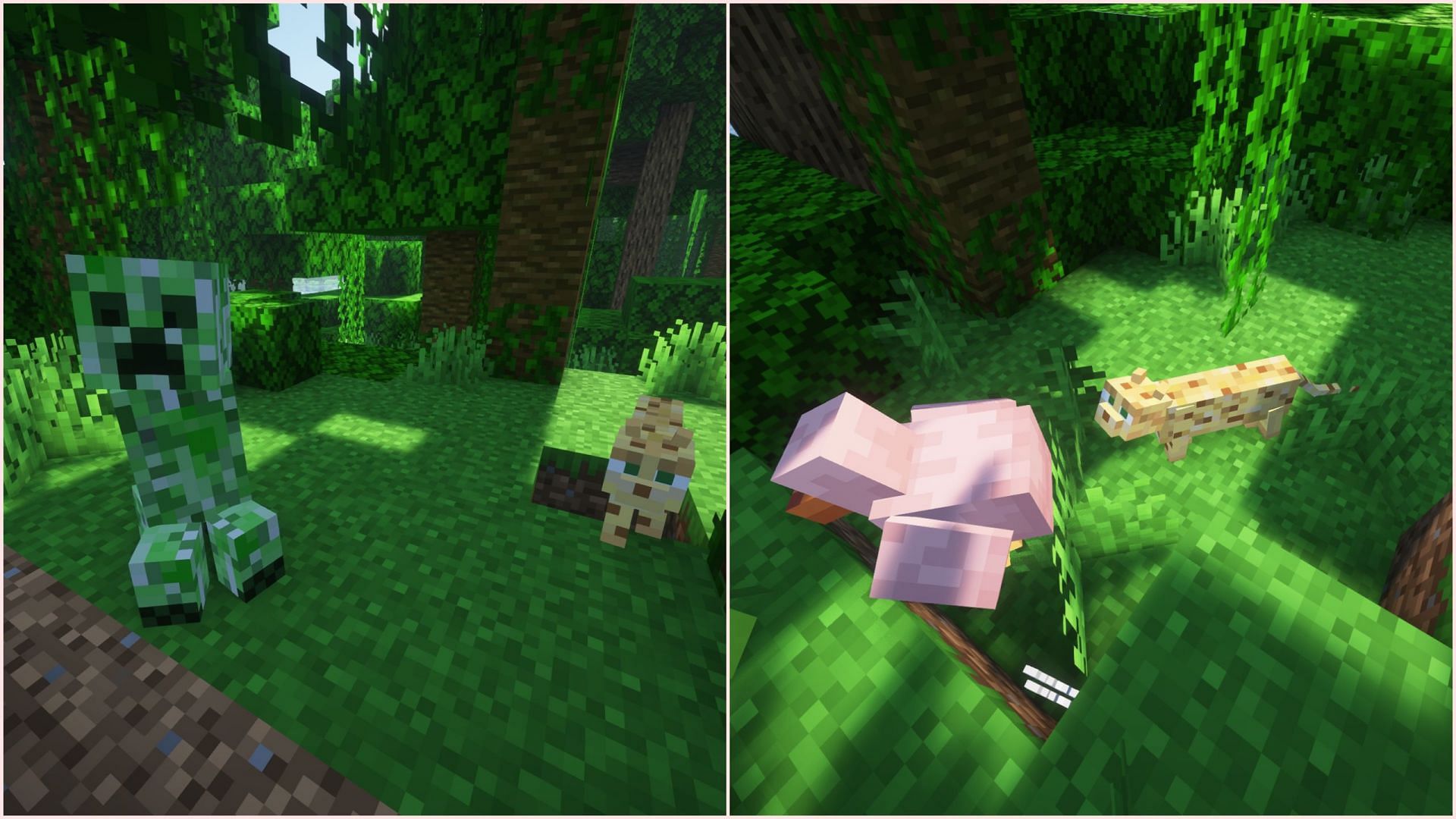 Ocelots attack some mobs, and creepers are scared of them (Image via Sportskeeda Gaming/Mojang Studios)