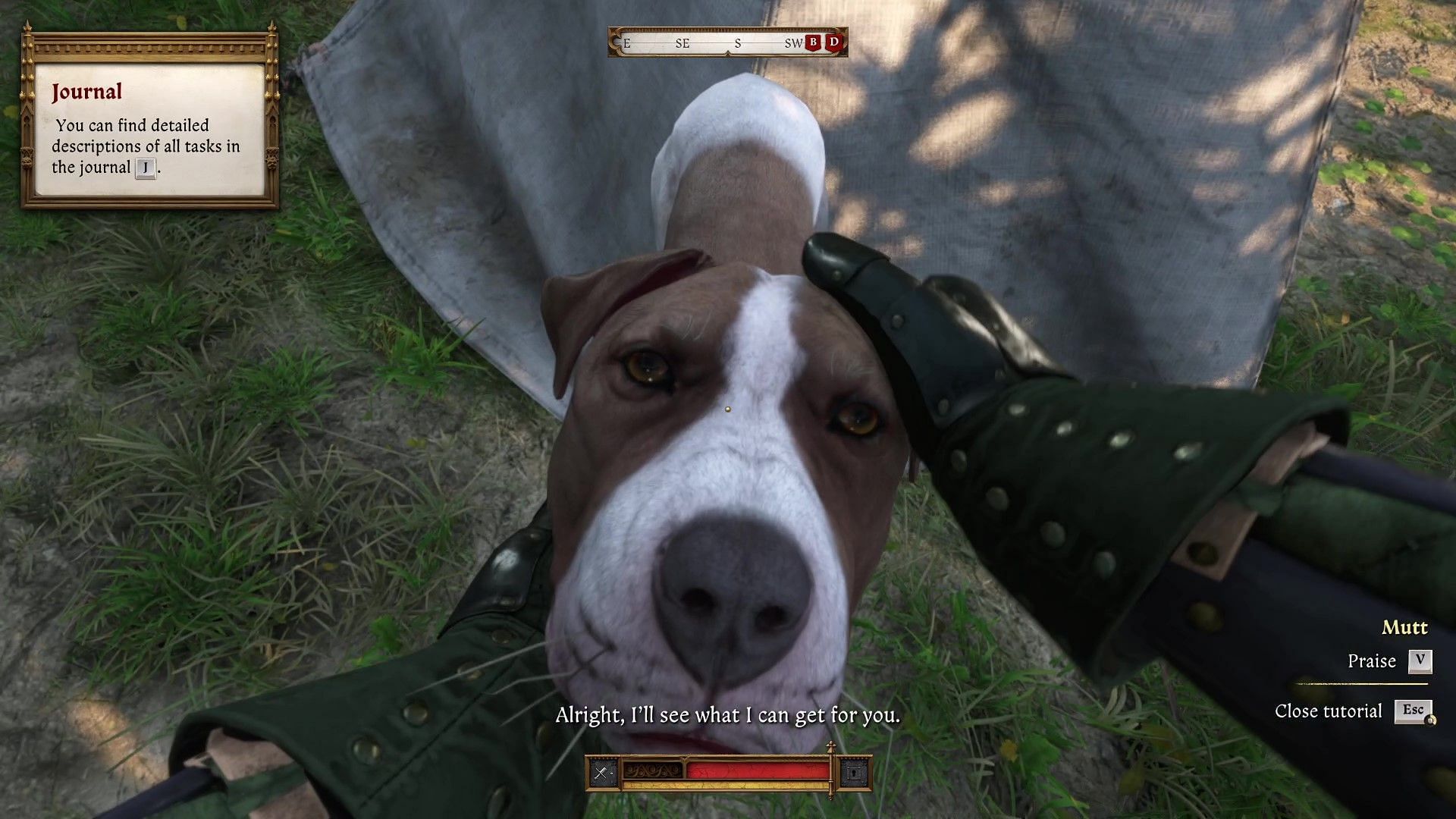 Frequent pets will keep Mutt happy (Image via Deep Silver)