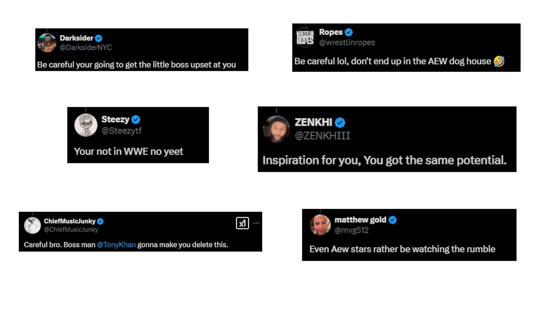 Screengrab of fan reactions [Image source: Screenshot of comments on Ricochet&#039;s tweet on X]