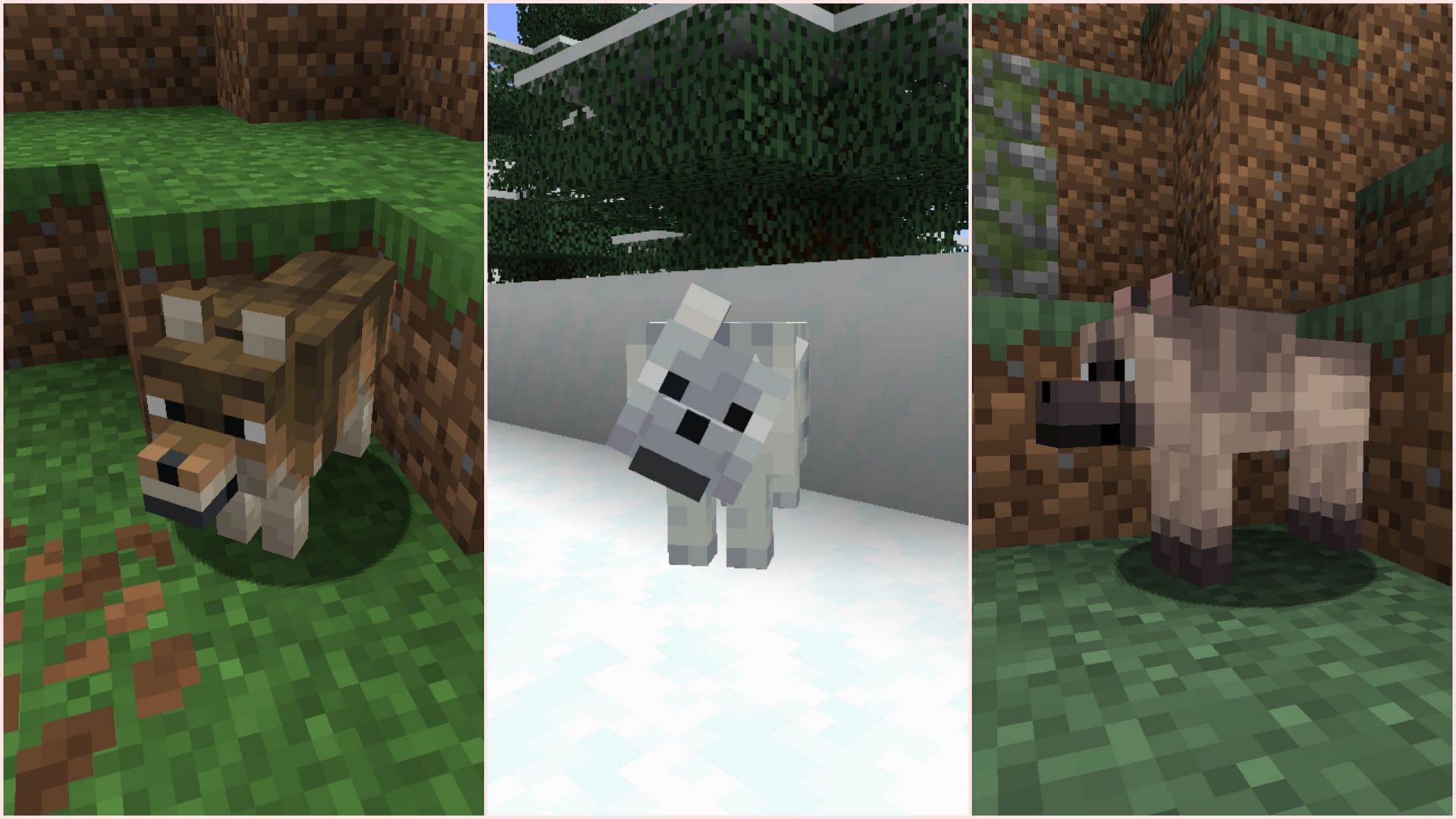 Mojang added eight new wolf variants spawning in different biomes (Image via Sportskeeda Gaming || Mojang Studios)