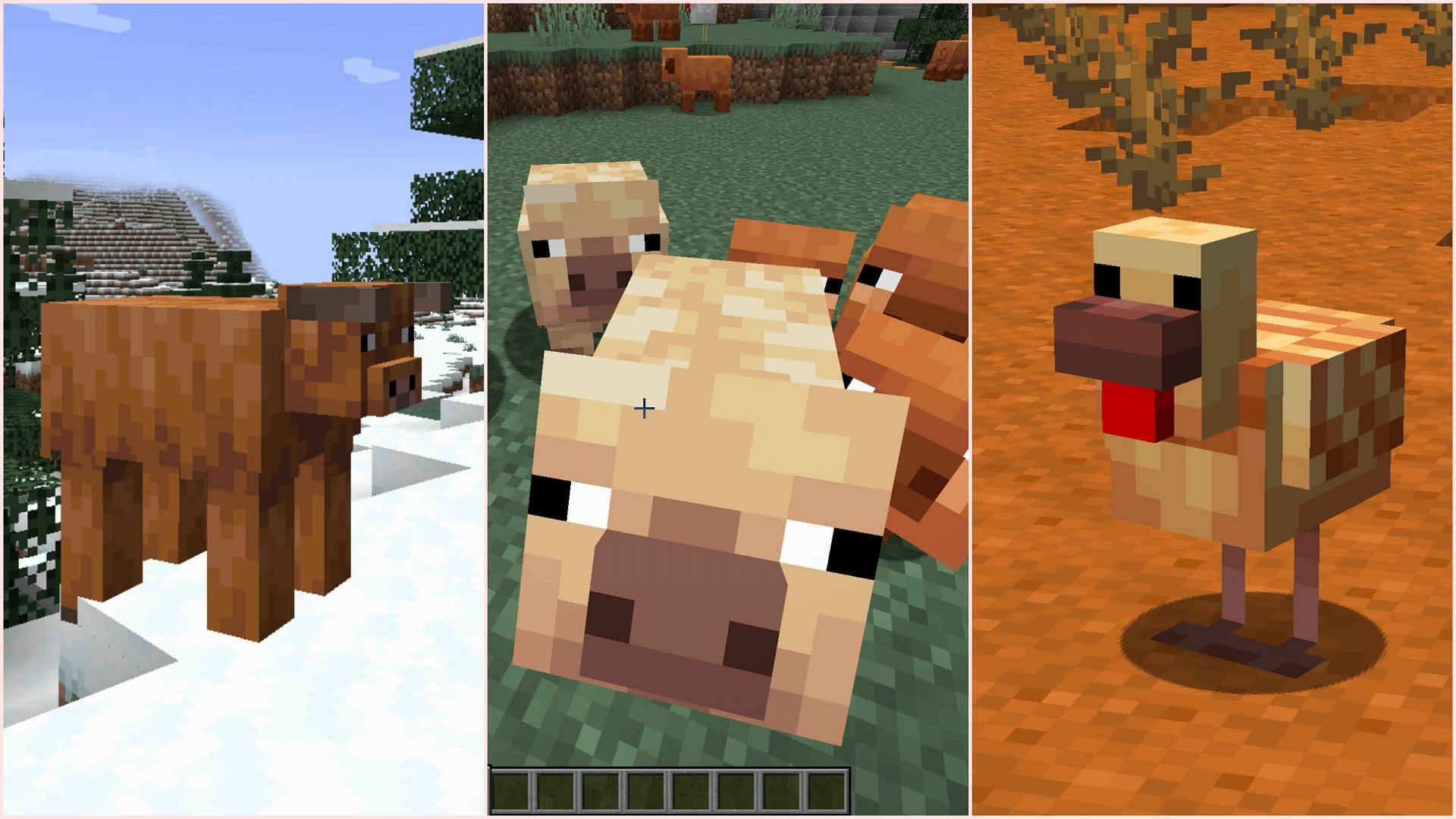 Sheep spawning was changed because new farm animal variants were also arriving with the upcoming game drop (Image via Sportskeeda Gaming/Mojang)