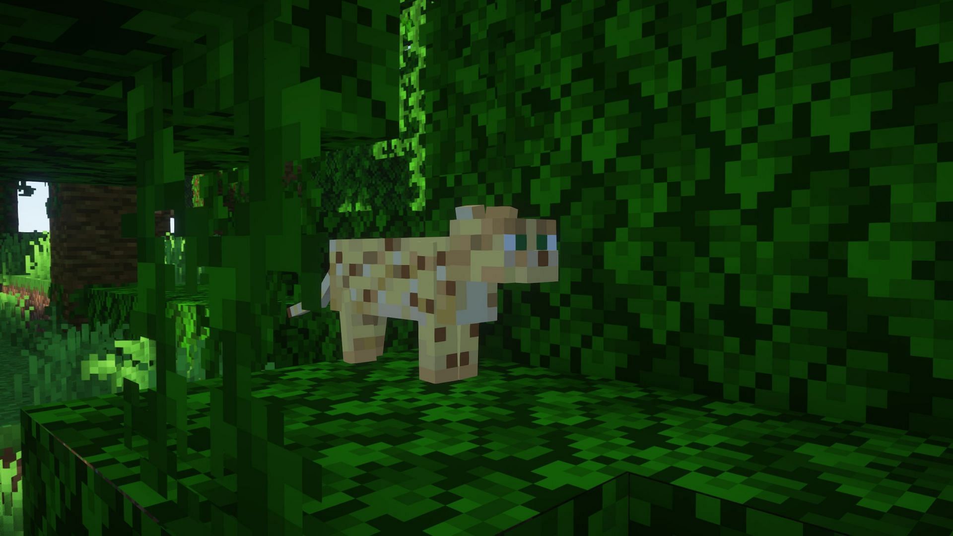 Ocelots are fascinating creatures in Minecraft (Image via Sportskeeda Gaming/Mojang)