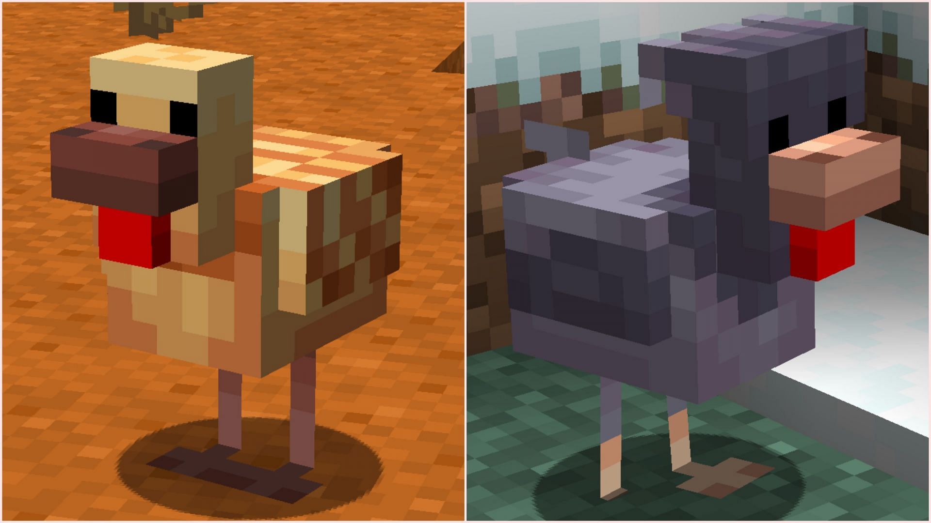 These chicken variants will have completely different textures and 3D models (Image via Sportskeeda Gaming/Mojang)