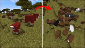 Minecraft reverting new naturally spawning sheep variants might not be the best move