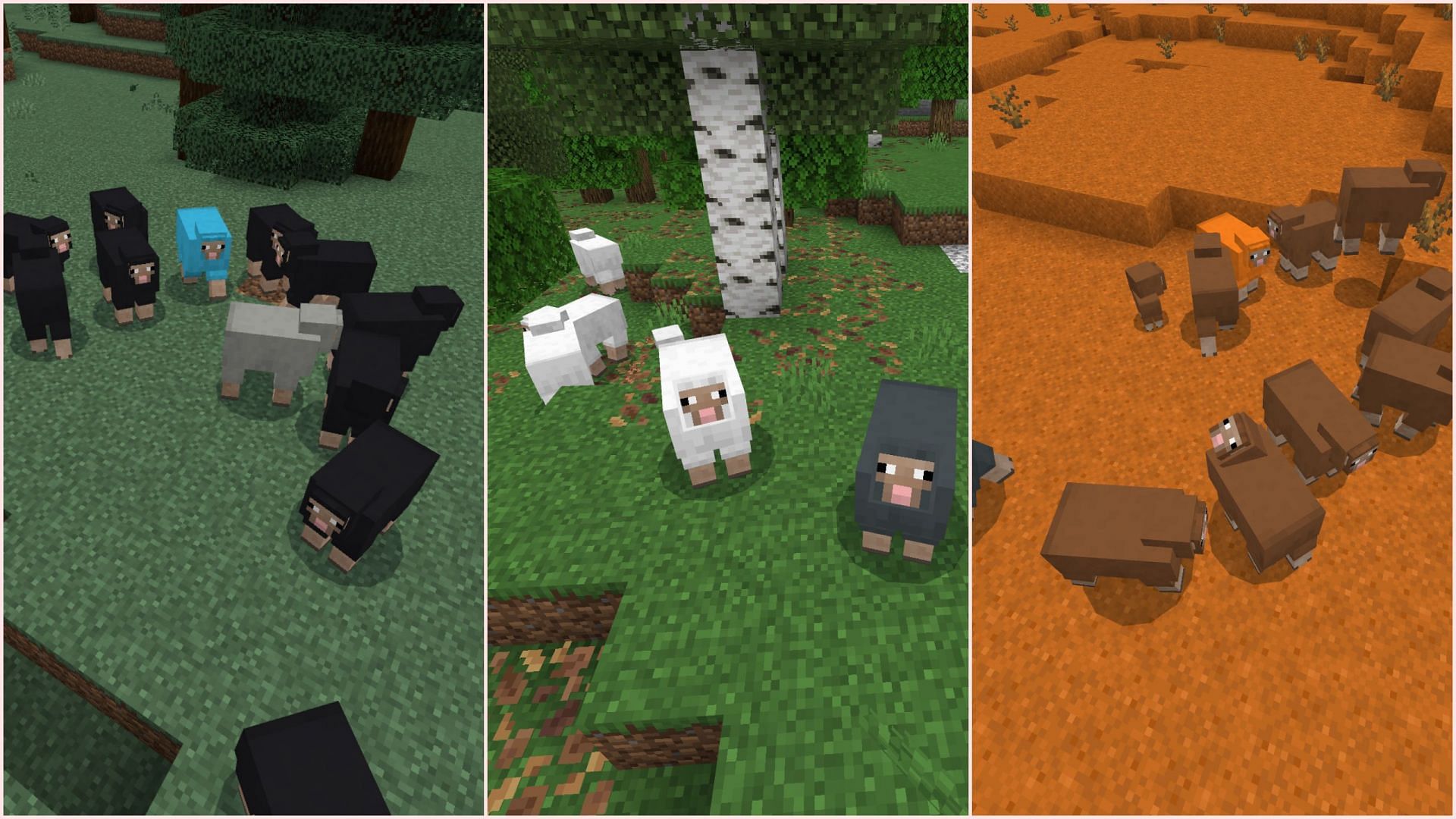 Sheep will now spawn in many biomes and have even more new colors (Image via Sportskeeda Gaming/Mojang)