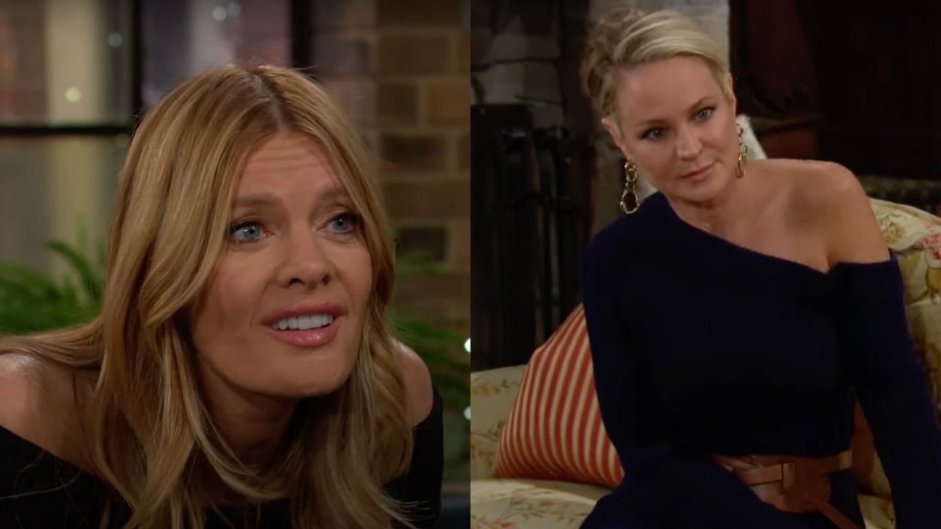 Sharon and Phyllis on The Young and The Restless (Image via Facebook/@The Young and The Restless, Youtube)