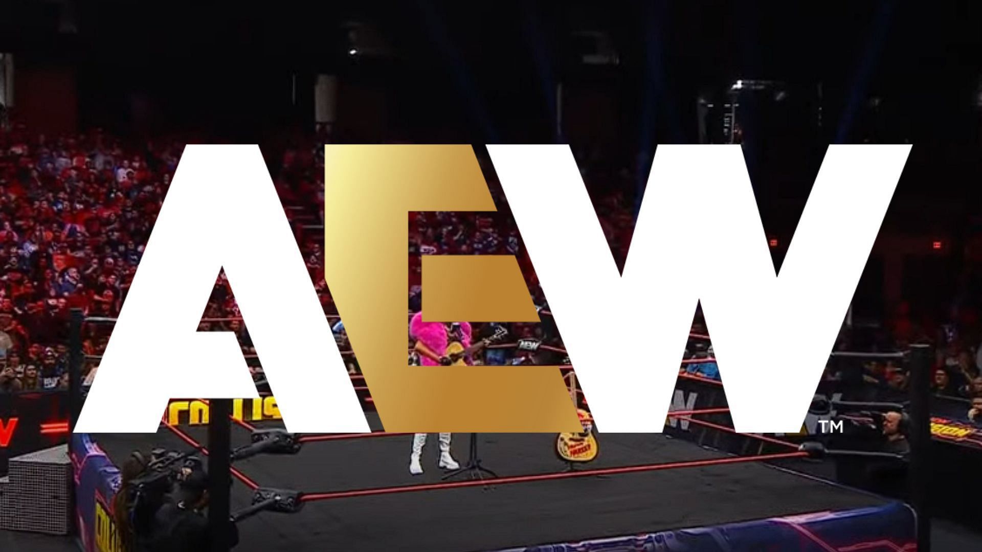 All Elite Wrestling is a Jacksonville-based promotion led by Tony Khan [Photo: AEW Official YouTube Channel]