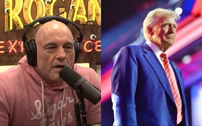 Joe Rogan astonished by Donald Trump’s plan to abolish income tax from U.S.A.: "I thought he was joking around"