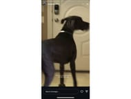 Jaz Agassi's Instagram story