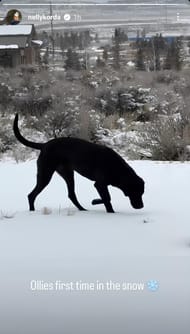 Still from Nelly Korda’s Instagram story: Source - Instagram @nellykorda