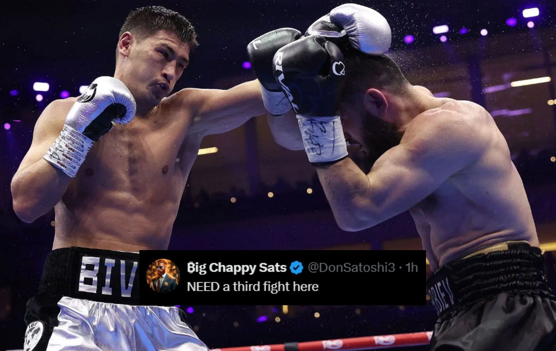 Fans react to Dmitry Bivol