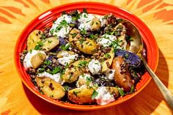 5 high protein vegetarian snacks to try