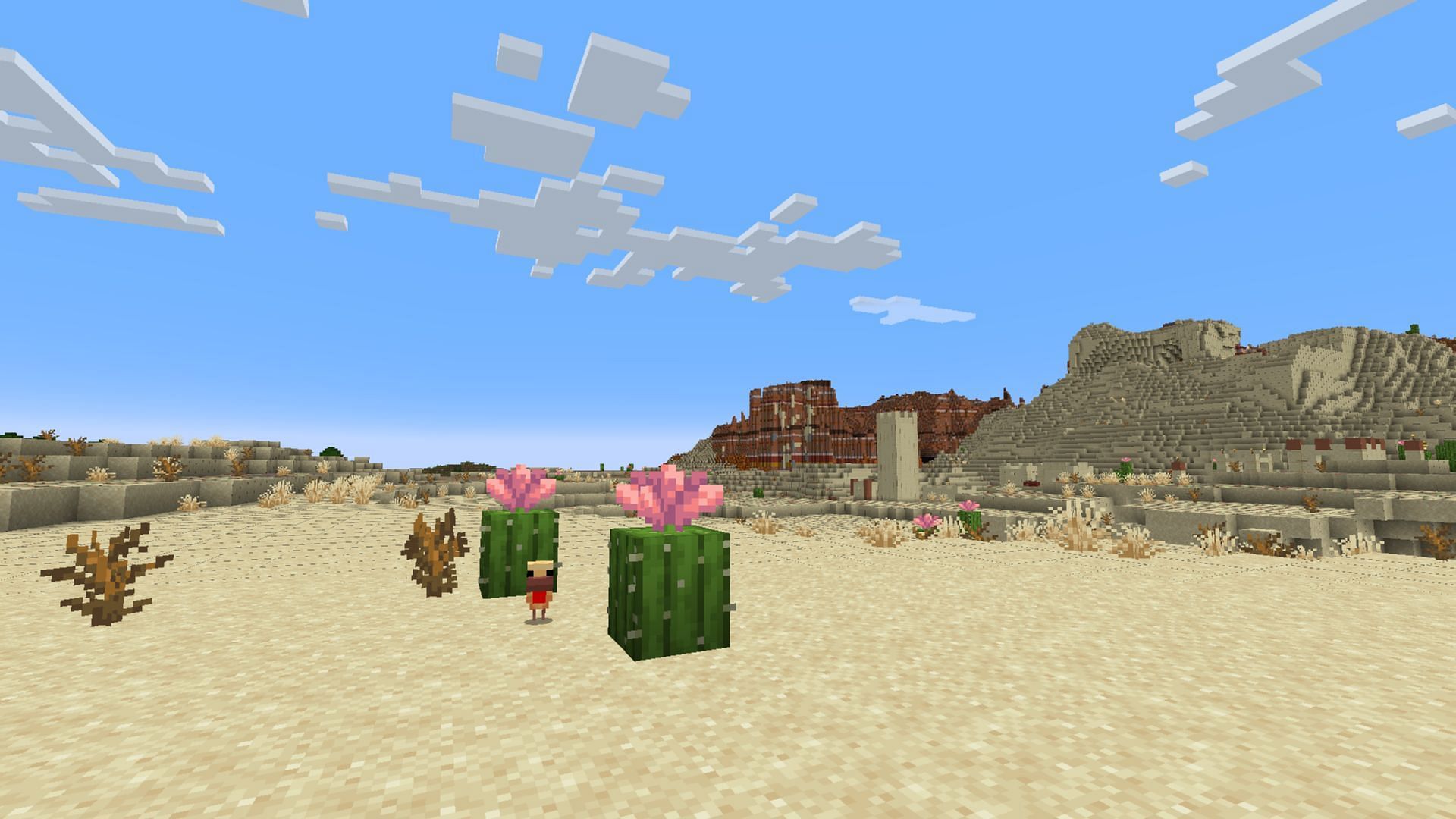 The cactus flower is found exclusively in deserts and badlands biomes (Image via Mojang Studios)