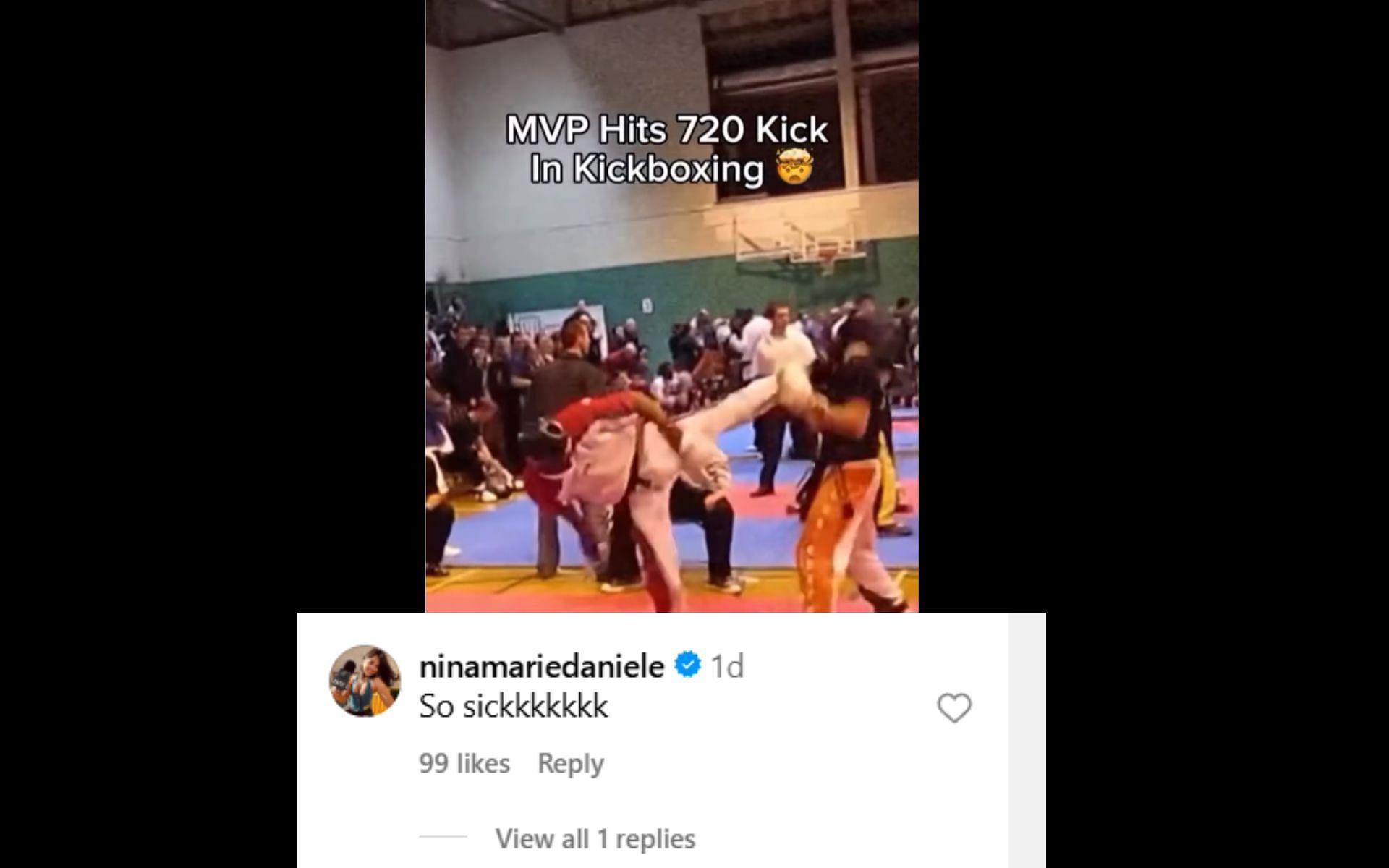 Screenshot of Nina Marie Daniele&#039;s comment on Michael &#039;Venom&#039; Pages video of him doing a 720 kick! 