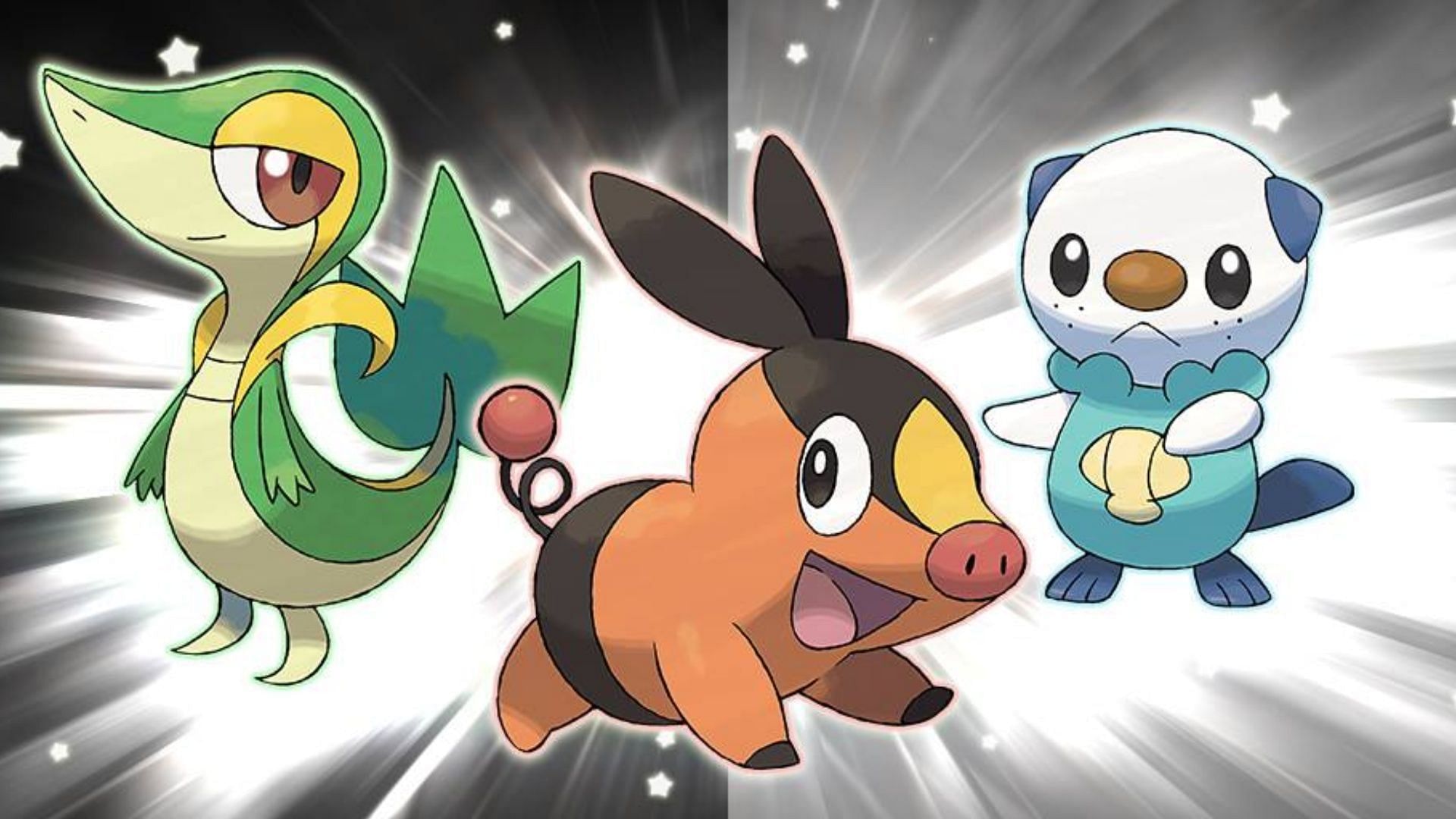 Snivy, Tepig, Oshawott Spotlight Hour (Image via TPC)