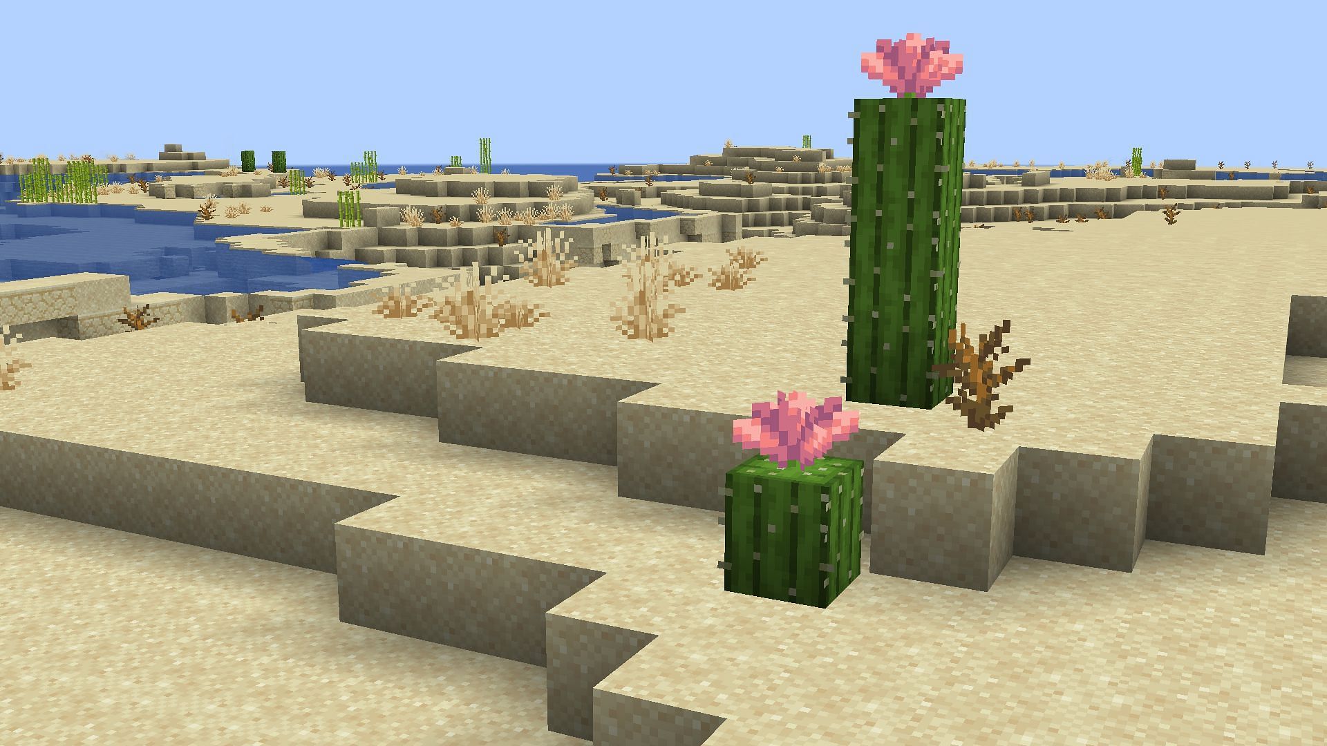 Badlands and Desert biomes will receive two major vegetation blocks (Image via Mojang studios || Sportskeeda Gaming)