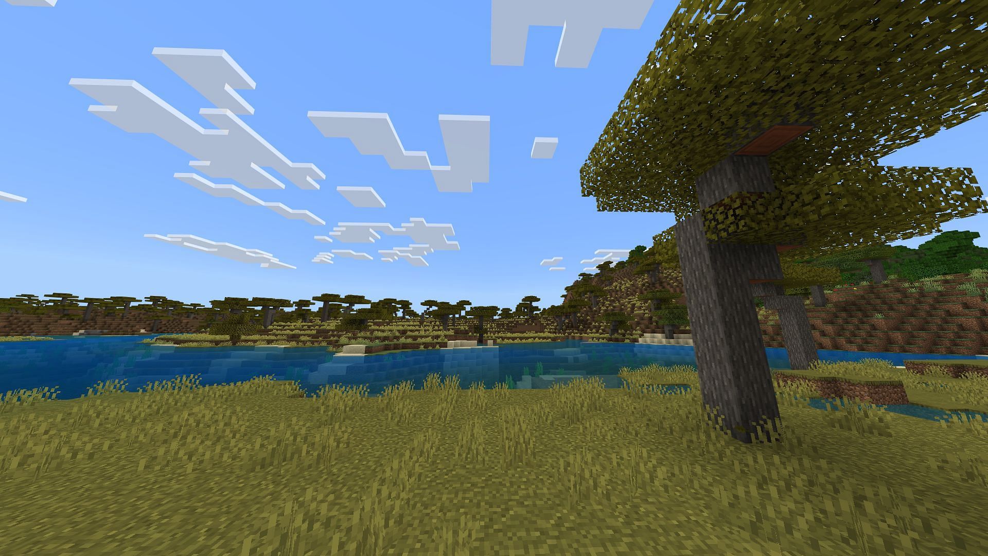 The Minecraft Bedrock 1.21.60 update results in an immersive growth of vegetation in the savanna biomes (Image via Sportskeeda Gaming/Mojang Studios)