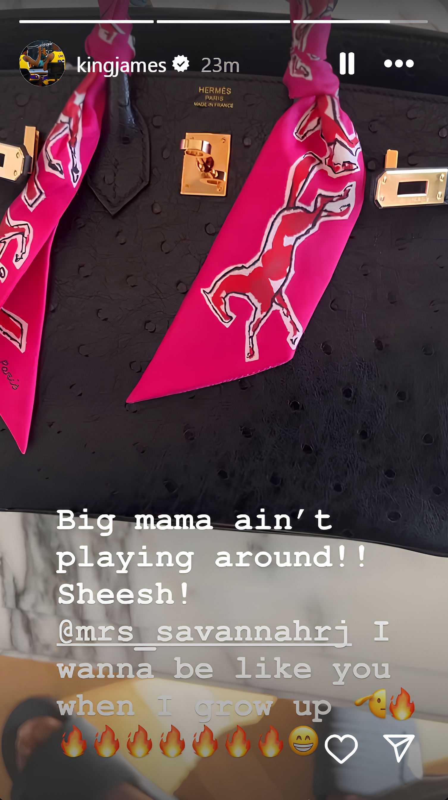 LeBron James shares Savannah James&#039; DIY Hermes handbag. (Credits: IG/LeBron James)