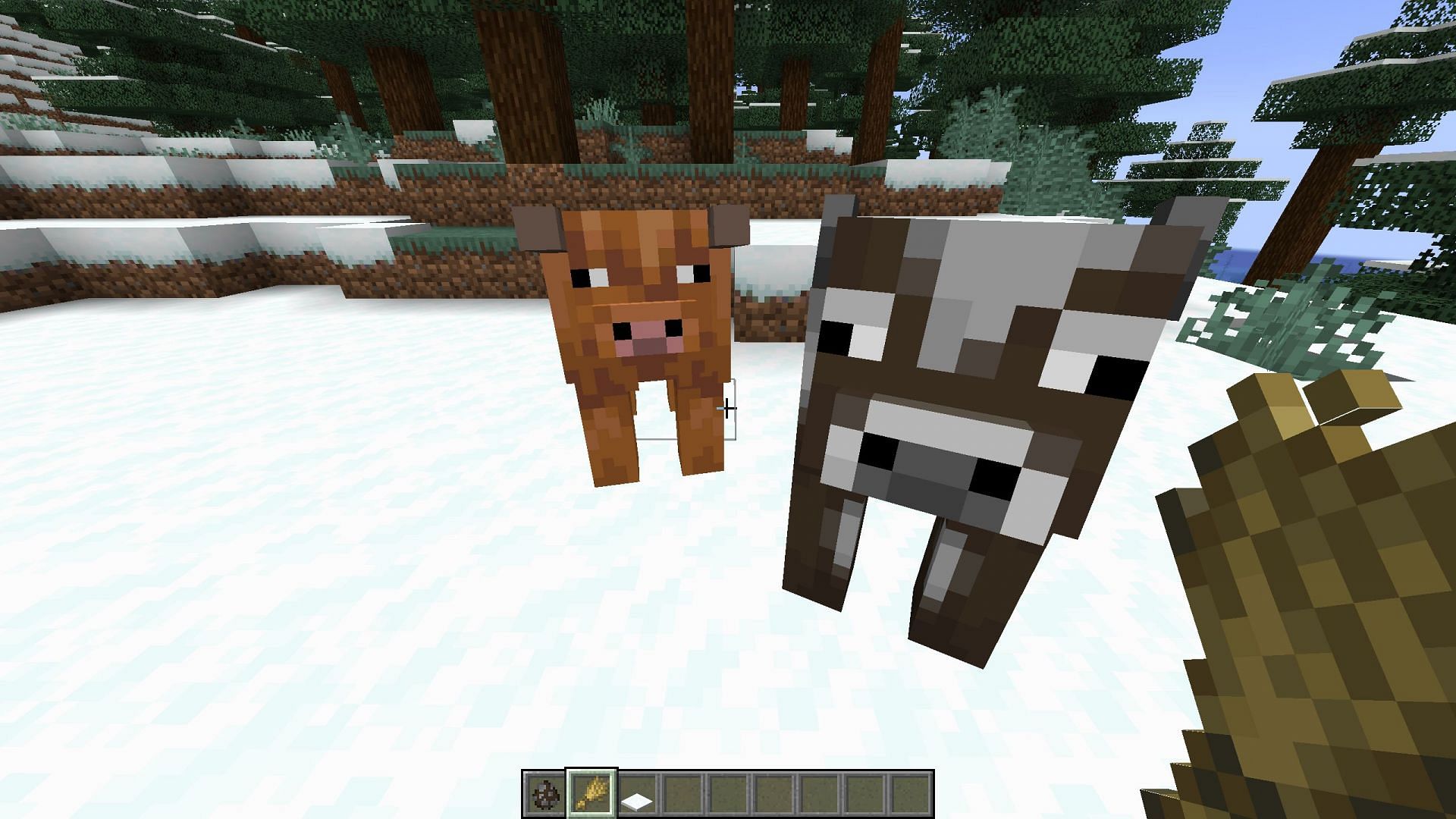 A baby cow&#039;s variant will not be dependent on the biome but on its parents (Image via Mojang Studios)