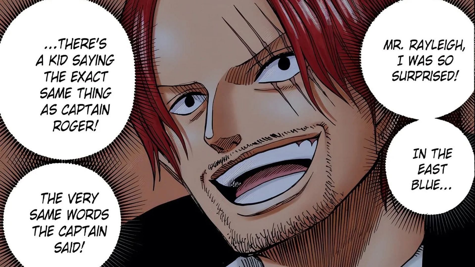 Shanks once met Silvers Rayleigh to talk with him about Luffy (Image via Shueisha)