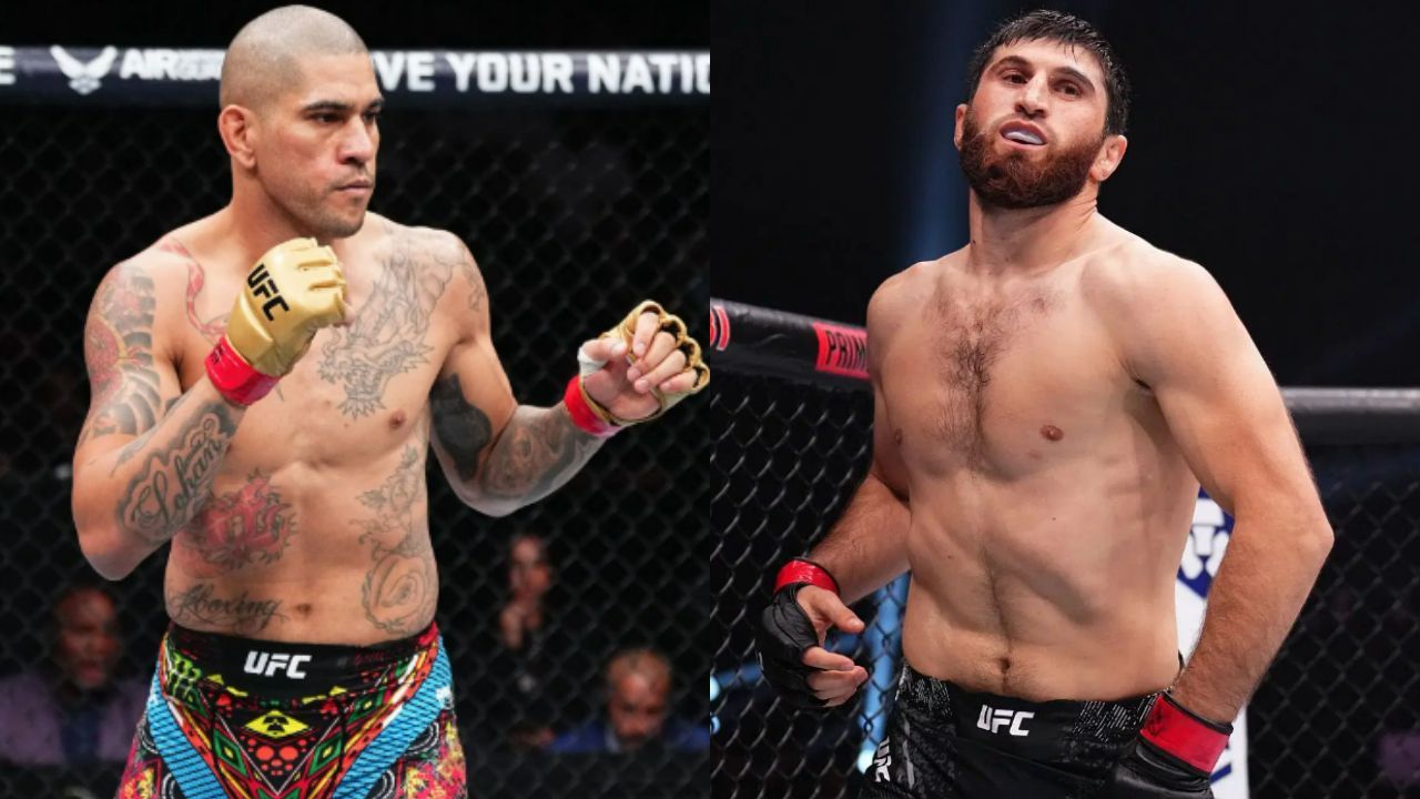 Magomed Ankalaev sharpens skills with PFL heavyweight ahead of Alex Pereira clash after training with Alexander Volkov