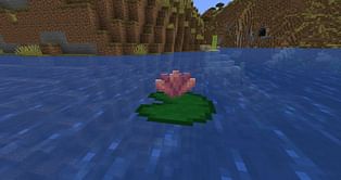 Minecraft fans want water lily flowers after Mojang adds cactus flowers to the game