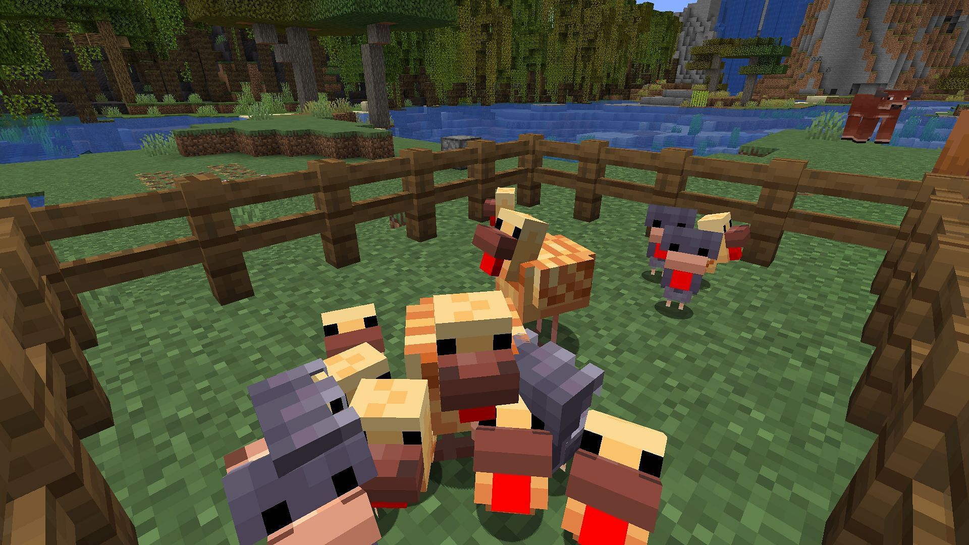 Warm and cold chickens (Image via Mojang &amp; Sportskeeda Gaming)