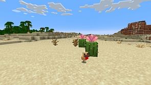 Best features and changes in Minecraft Bedrock 1.21.70.22 beta and preview