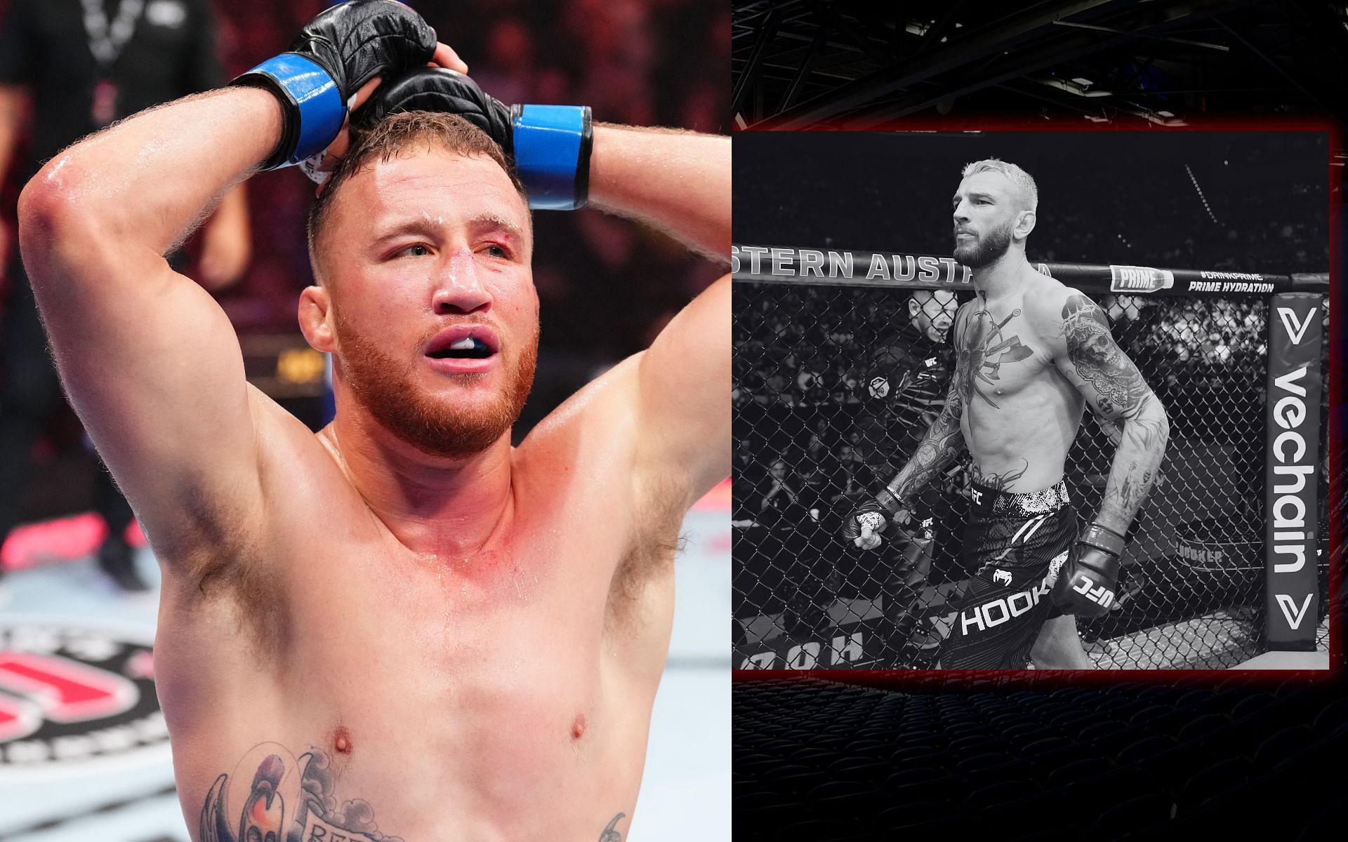 UFC lightweight issues call out to Justin Gaethje after Dan Hooker withdrawal [Images courtesy: Getty]