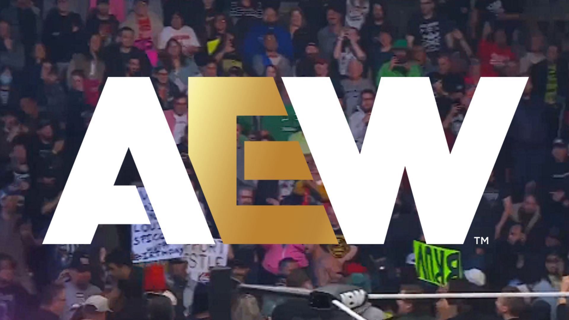 All Elite Wrestling is a Jacksonville-based promotion led by Tony Khan [photo: AEW Official X Account]